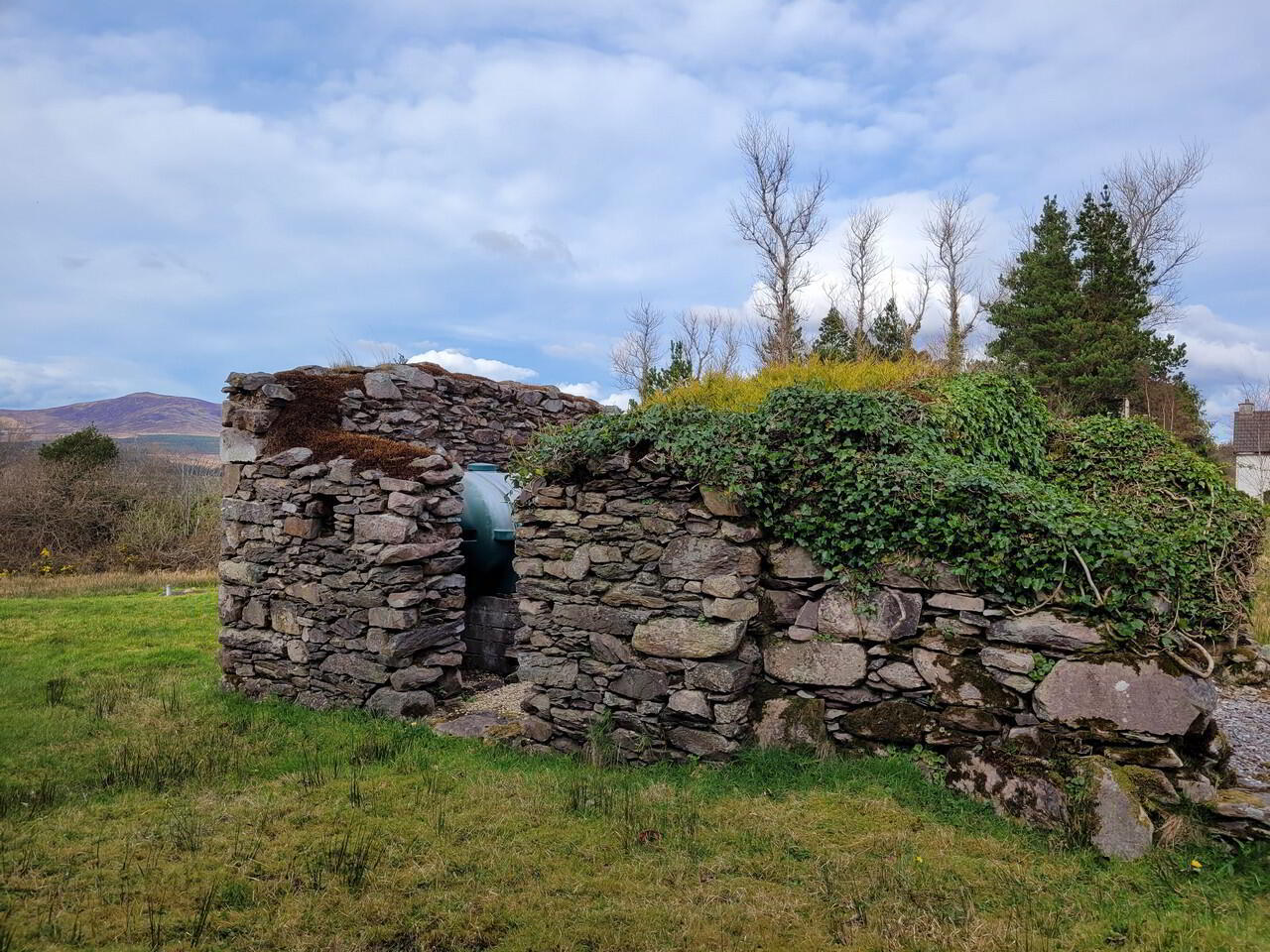 Killeenleagh 6 of 46