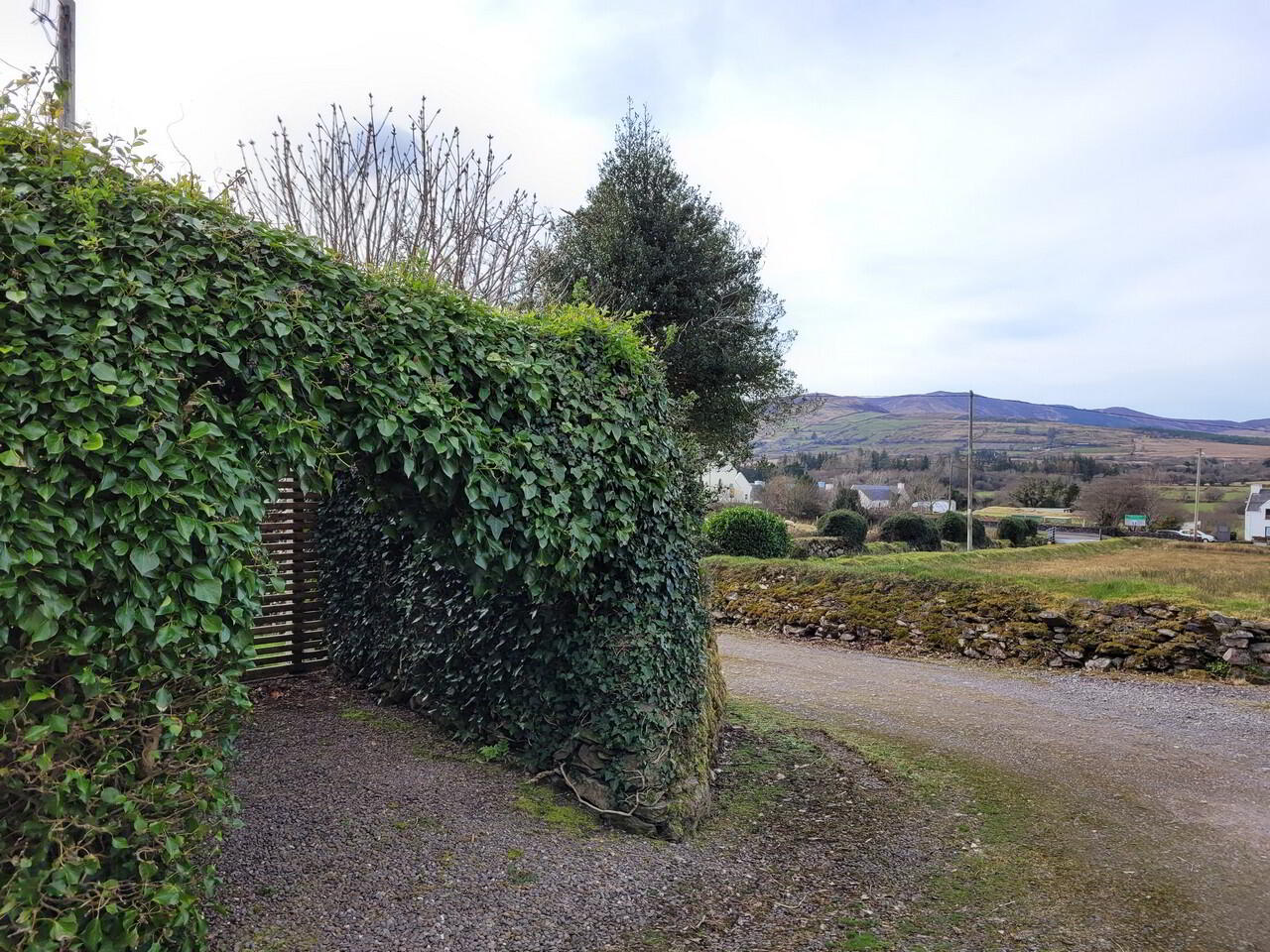 Killeenleagh 14 of 46