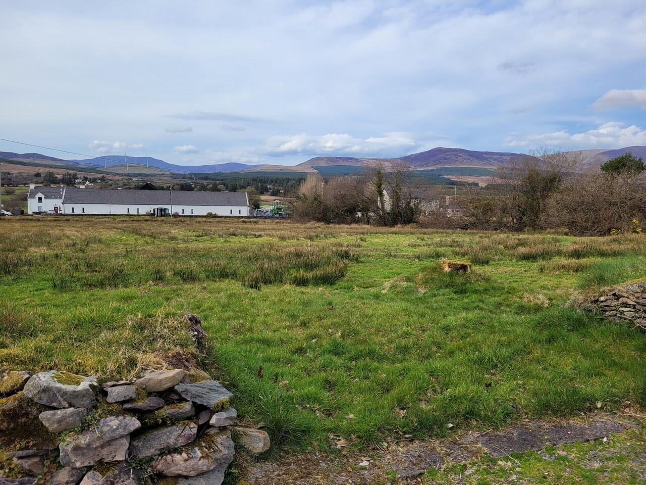 Killeenleagh 15 of 46