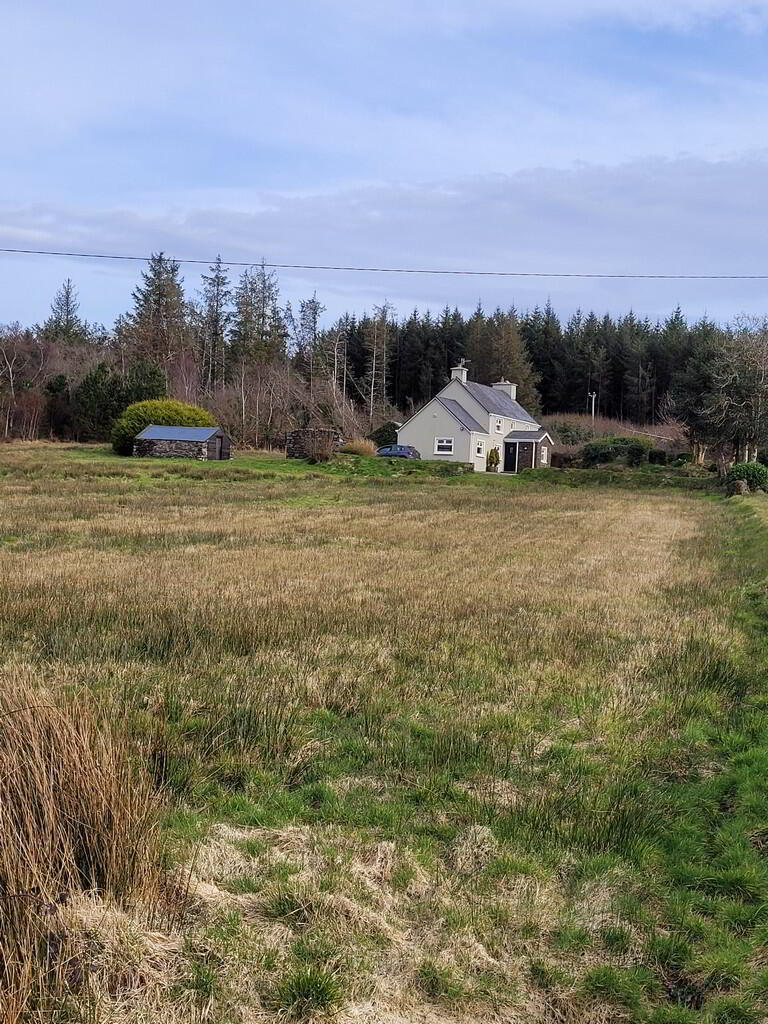 Killeenleagh 43 of 46