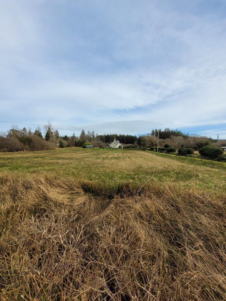 Killeenleagh 44 of 46