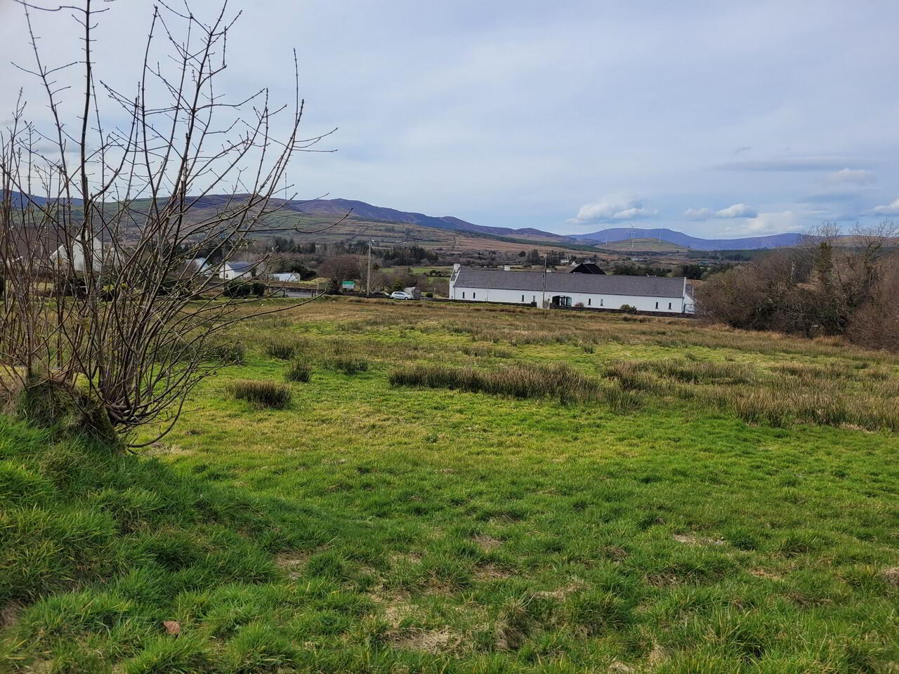 Killeenleagh 4 of 46