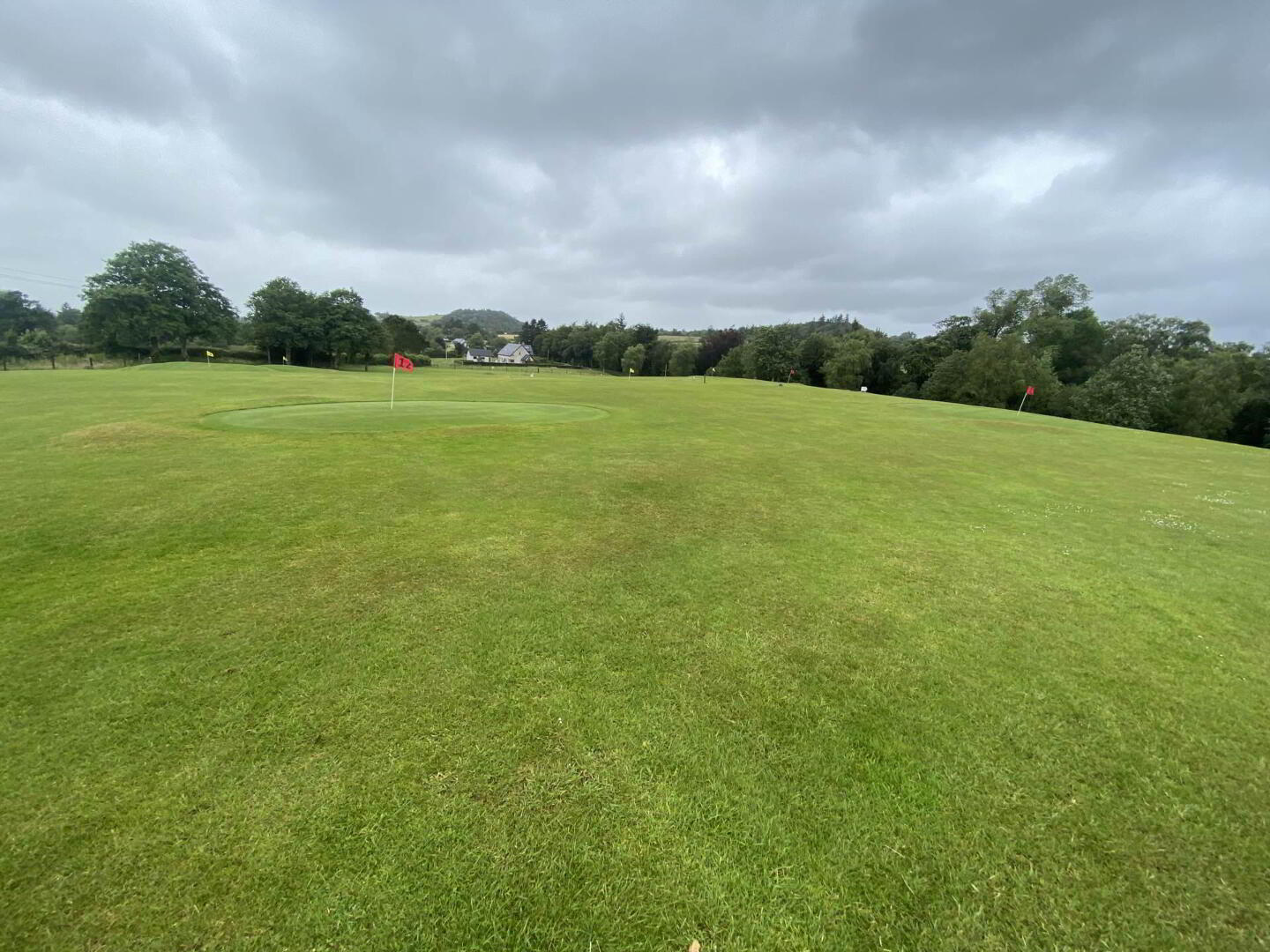 Glenstal Cross