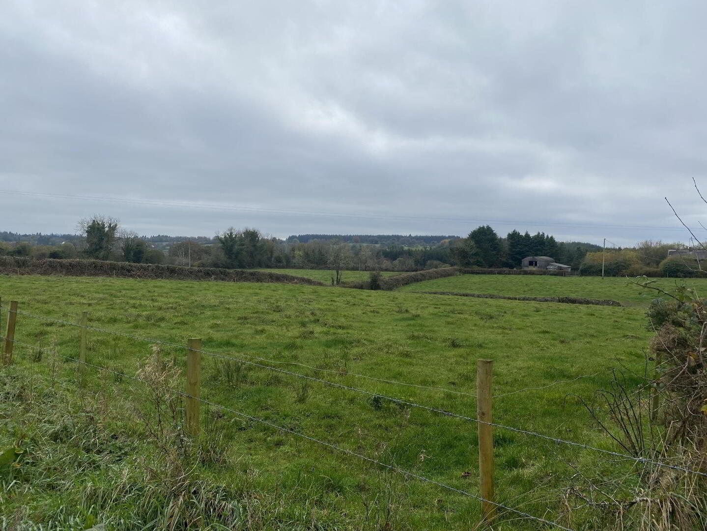 Larkfield 6 of 7