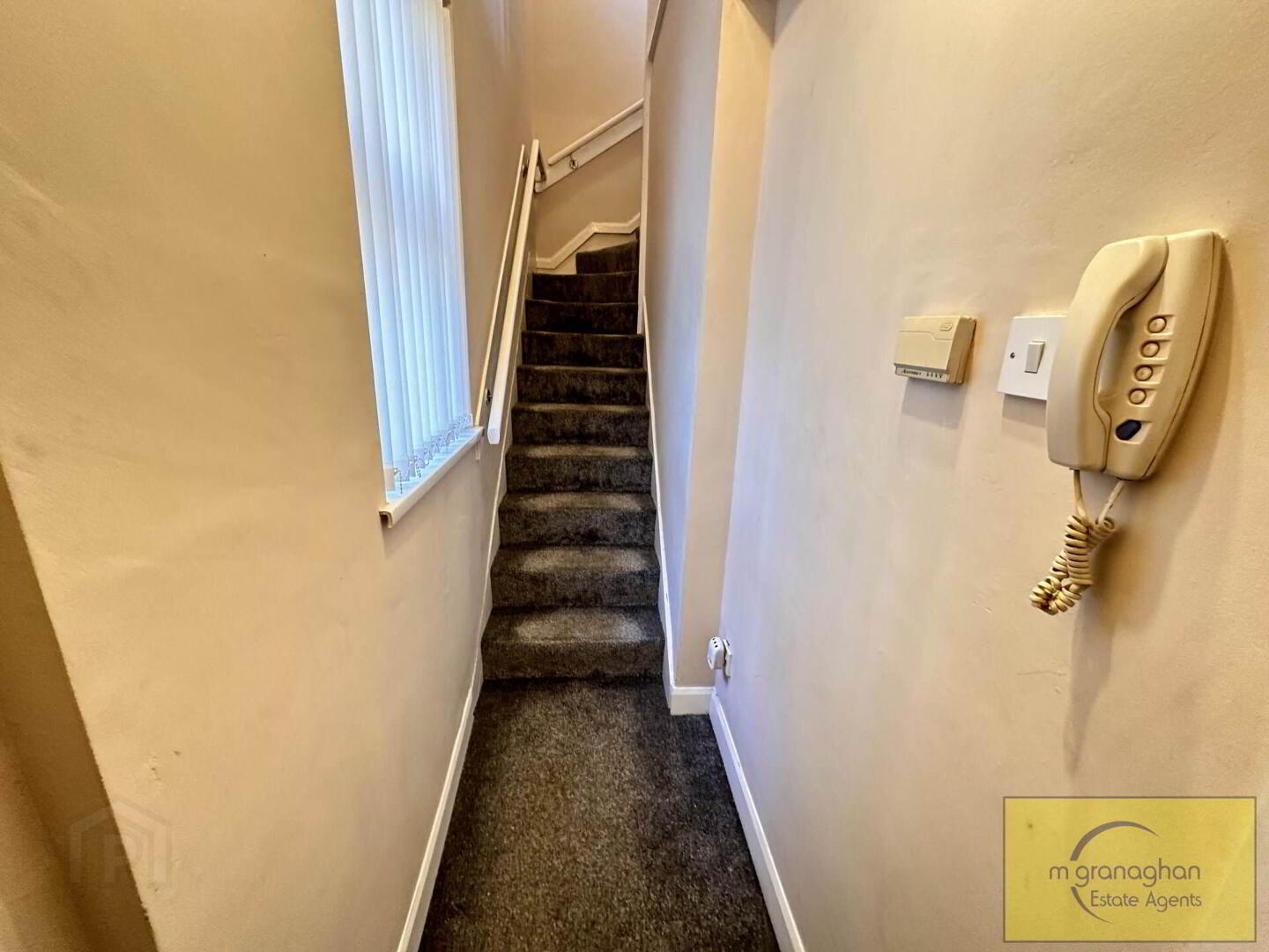 Apt 2, 6 Glandore Avenue 8 of 15