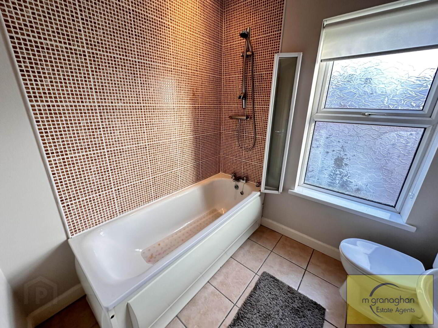 Apt 2, 6 Glandore Avenue 12 of 15