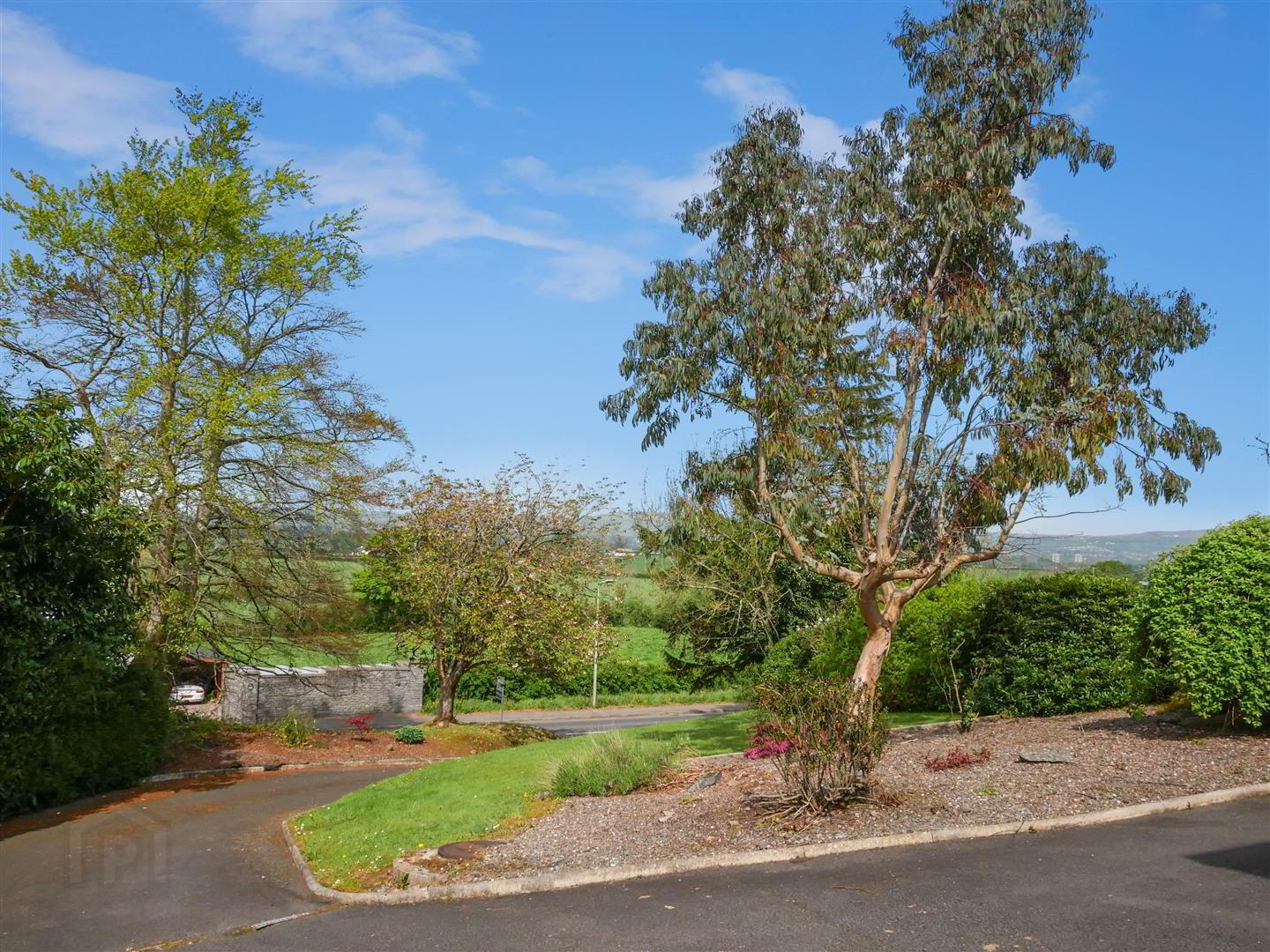 228 Hillhall Road 3 of 51
