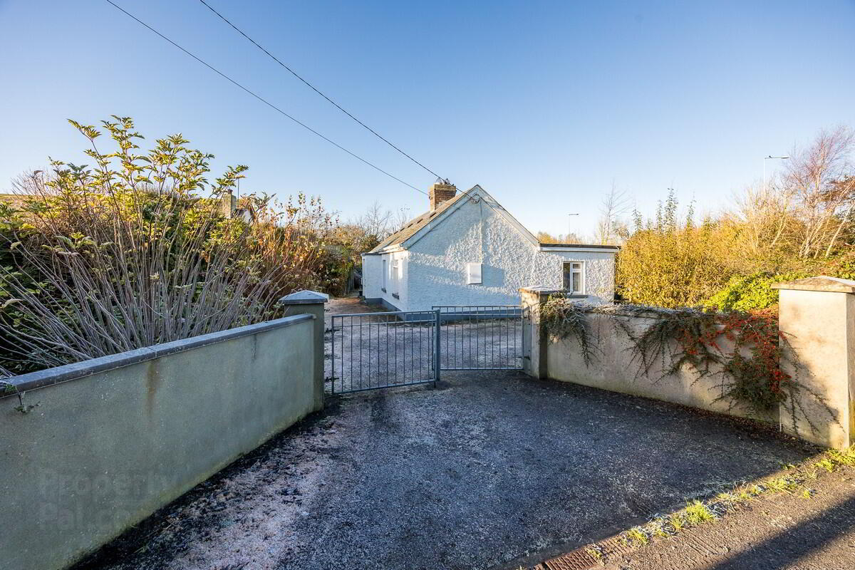 Fleenstown Little 1 of 12