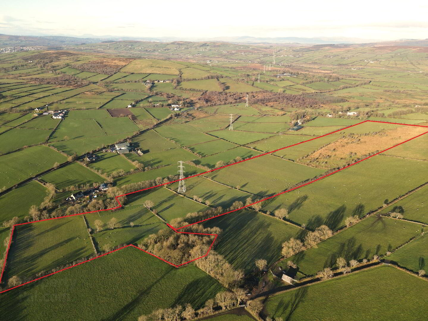 Ballyhanedin Road