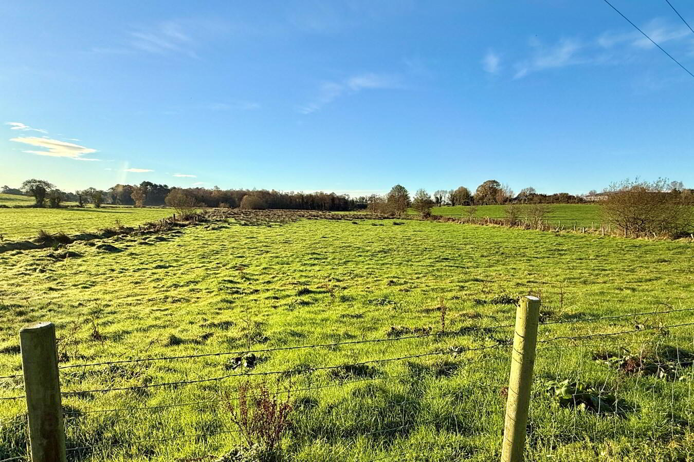 C. 3.5 Acres At Moss Road