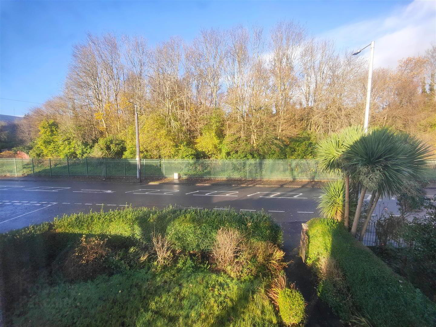 67 Westland Road 18 of 30