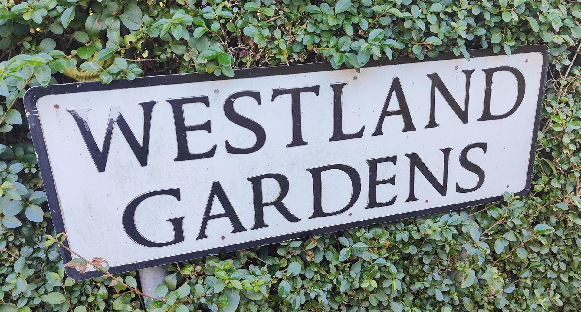 67 Westland Road 30 of 30