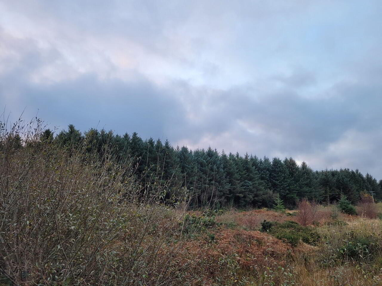Scariff Waterville 4 of 14