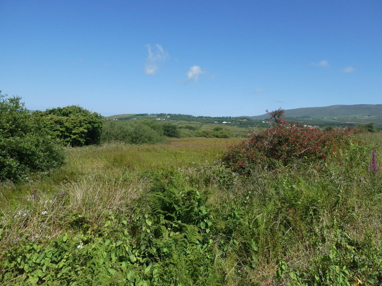 Scariff Waterville 8 of 14