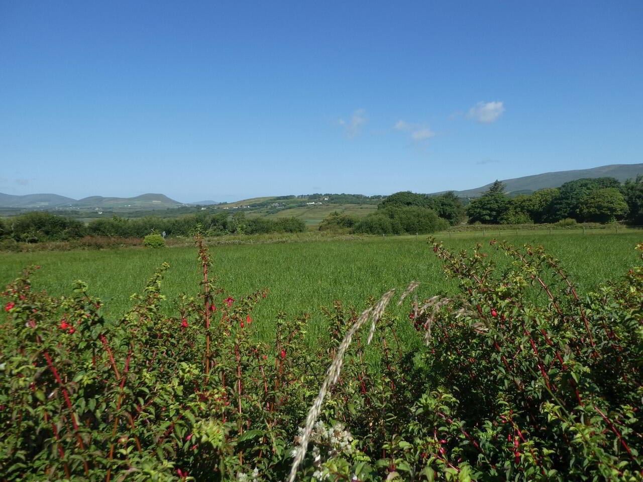 Scariff Waterville 9 of 14