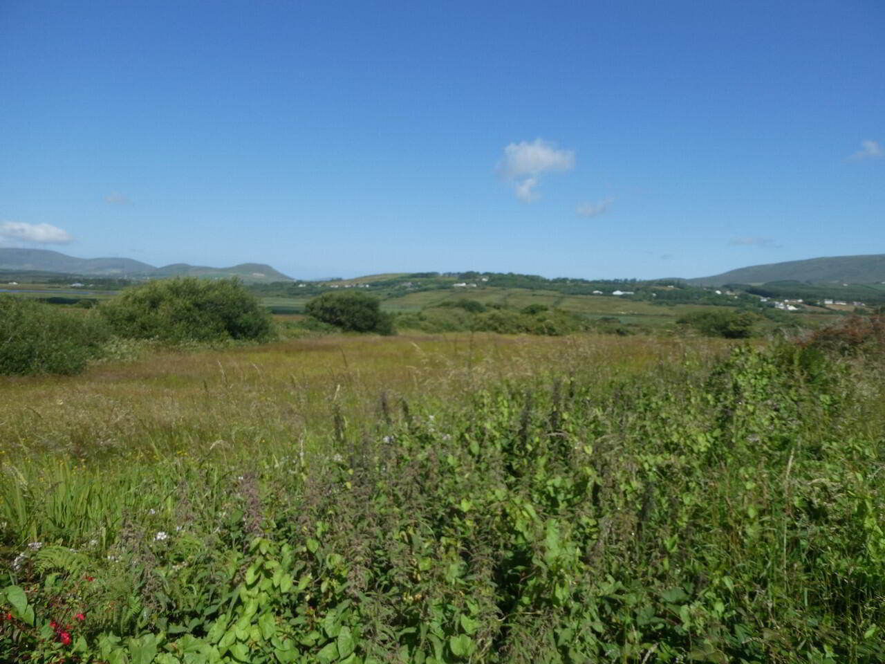 Scariff Waterville 12 of 14