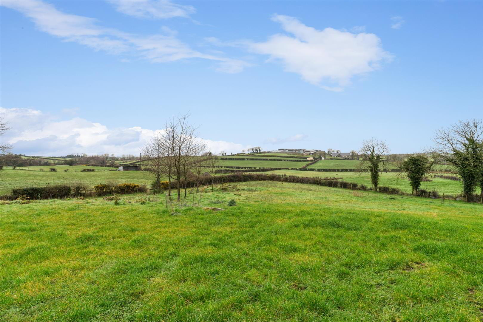 43 Drumreagh Road 29 of 30