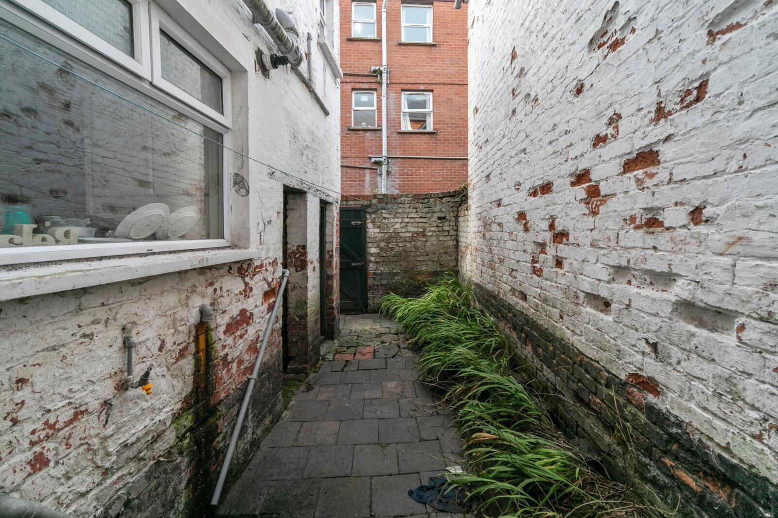 23 Wolseley Street 15 of 15