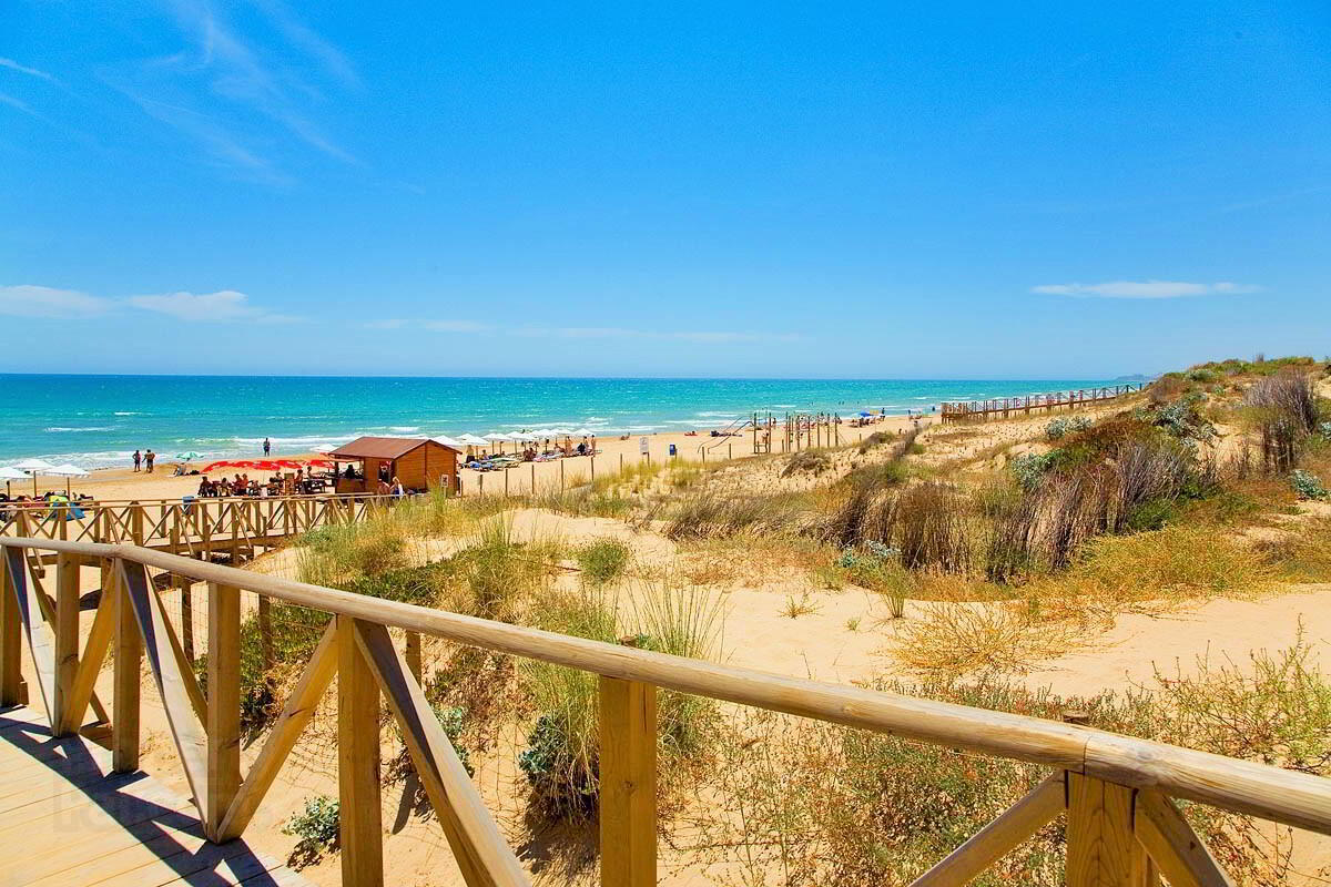 Guardamar Playa 21 of 25