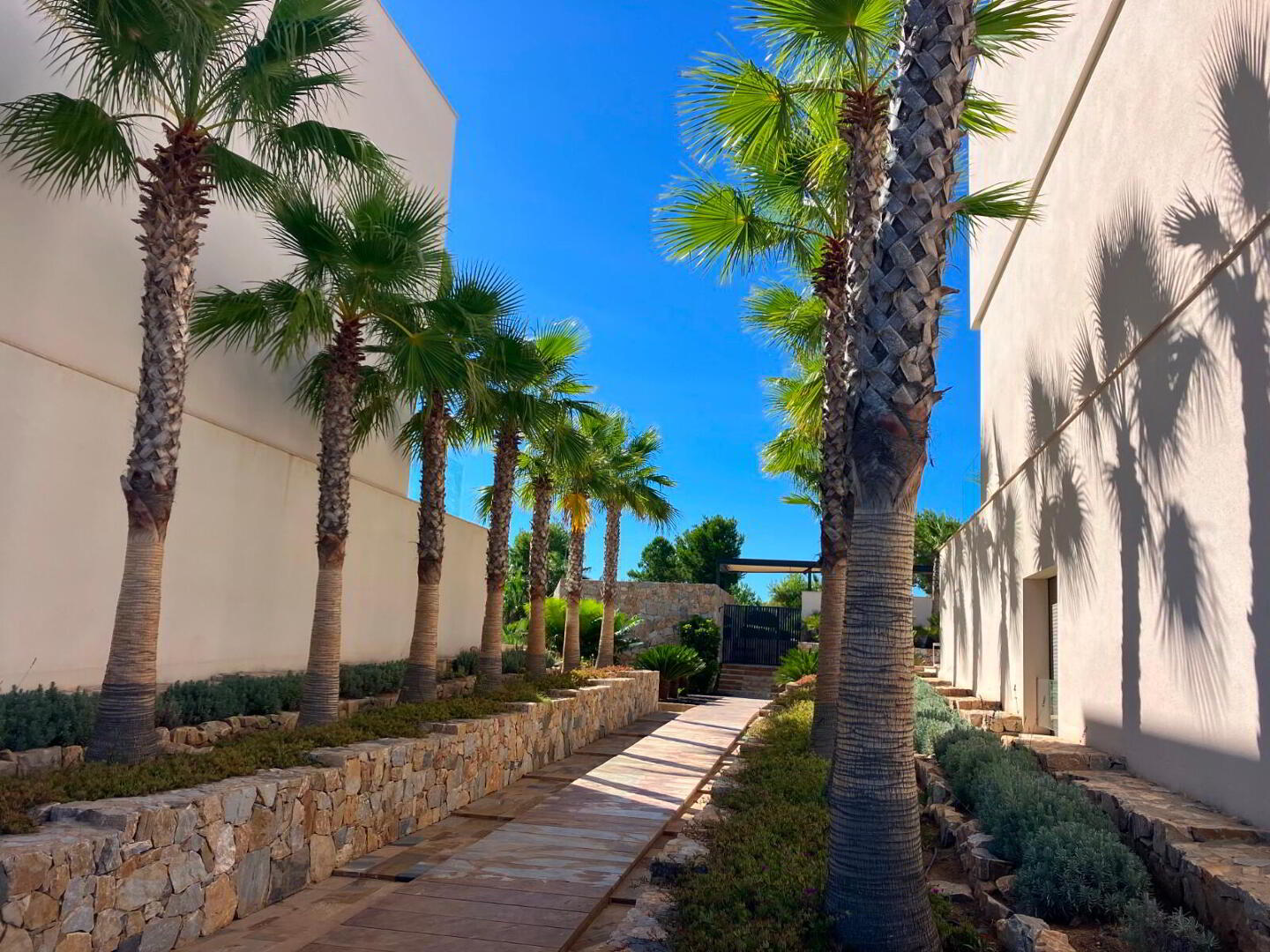 Las Colinas 4 of 32