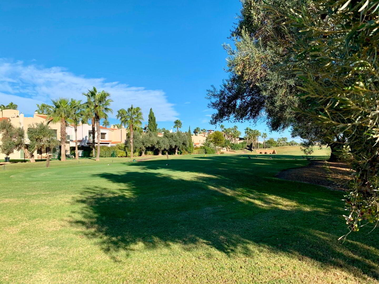 Roda Golf 25 of 35