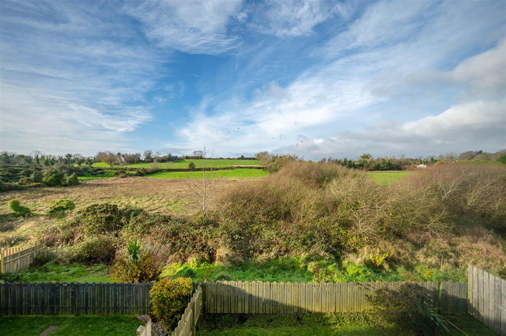 12 Sinclair Dell 17 of 20