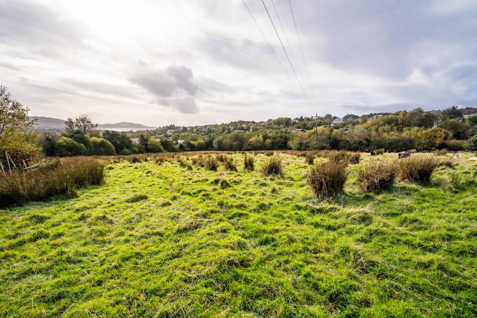 Clonbeg 19 of 21