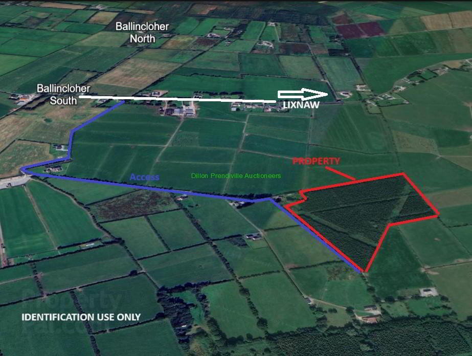 15 ACRES, 6.1 Ha FORESTRY PLANTATION AT GORTADRISLIG