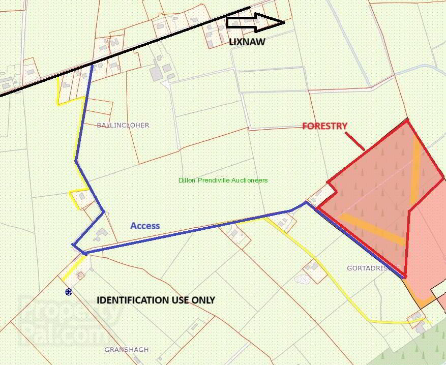 15 ACRES, 6.1 Ha FORESTRY PLANTATION AT GORTADRISLIG