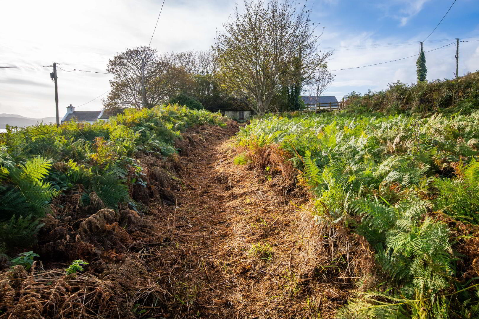 Dunree Plot, Dunree 5 of 6