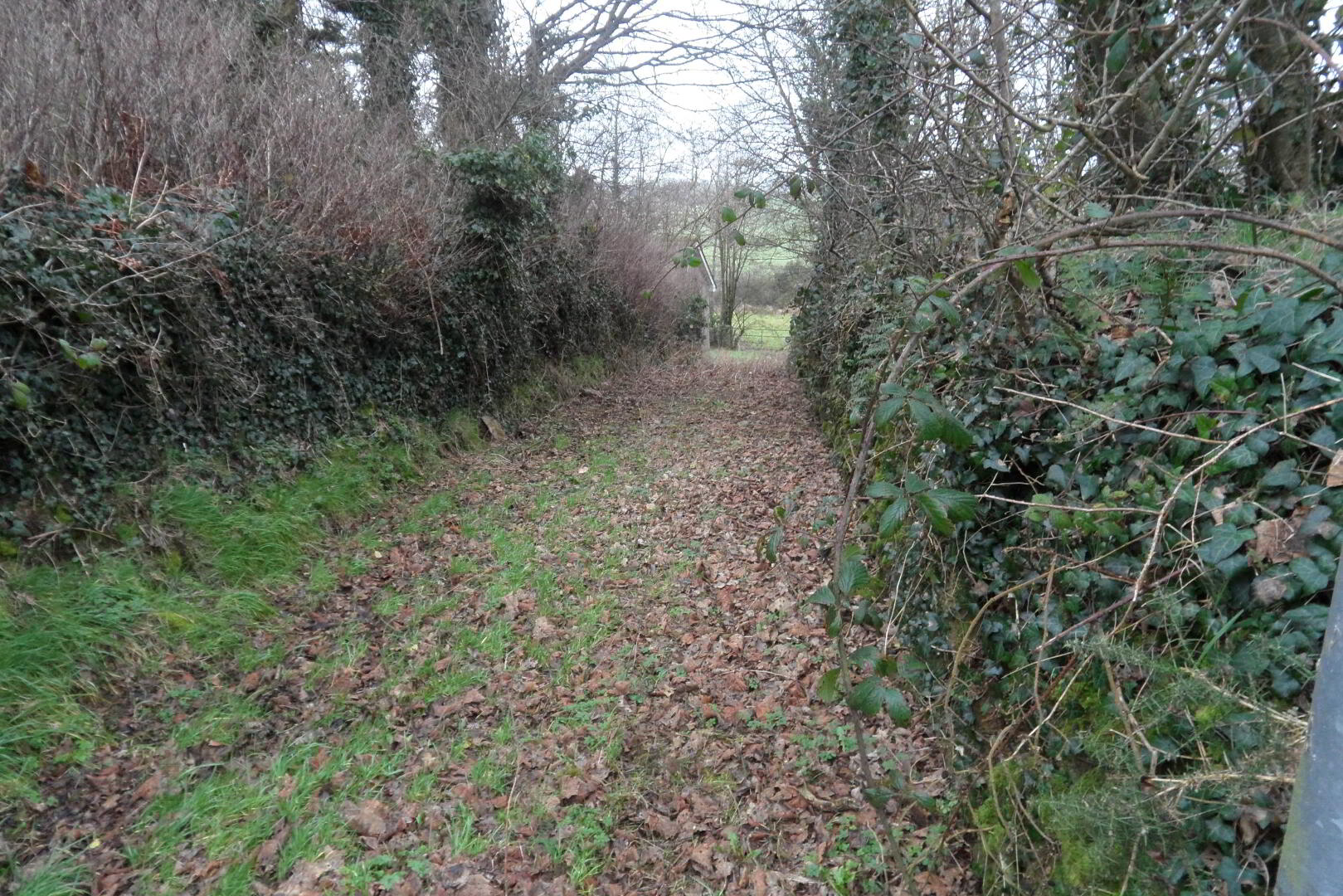 Lisdrumcleve 10 of 11