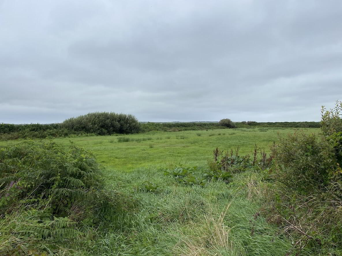 2, Carrowmore South