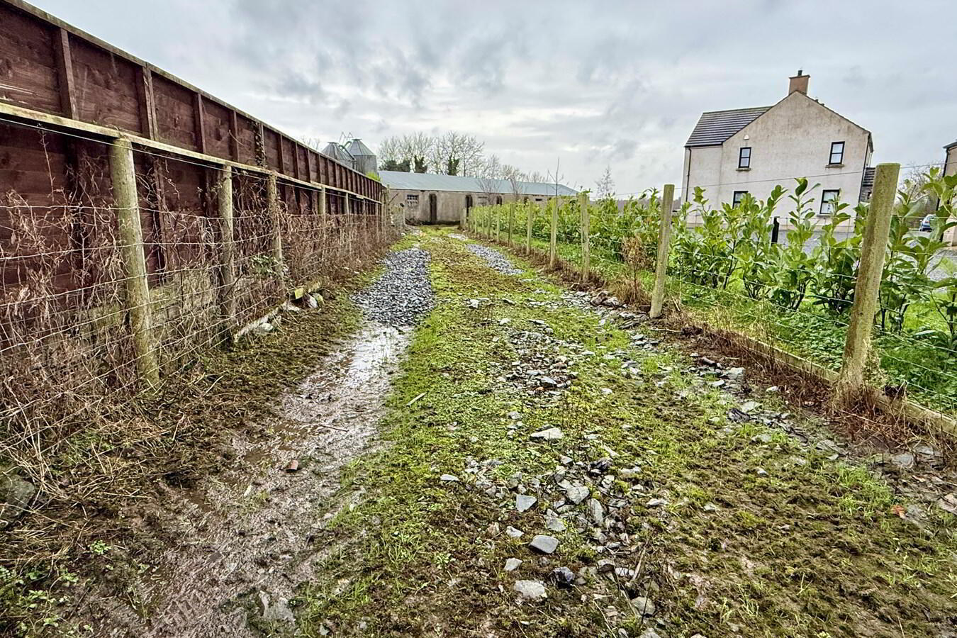 C. 4 Acres, Behind, 15 Derryane Road