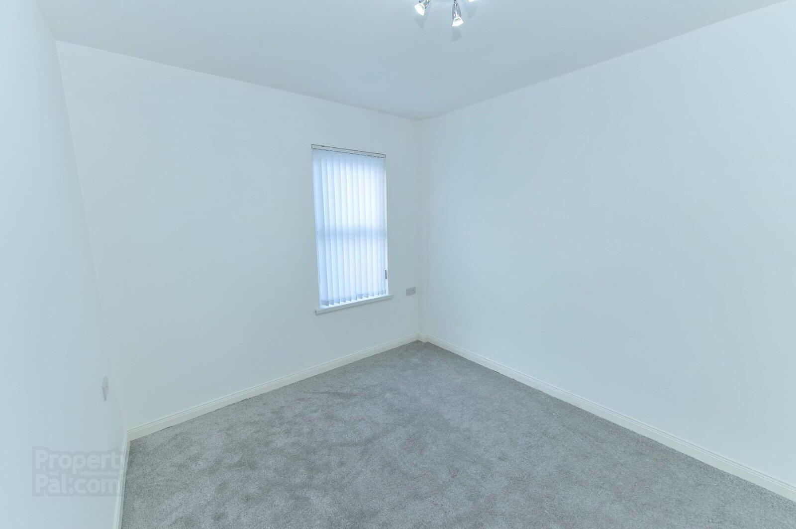 55 Sandown Road 12 of 16