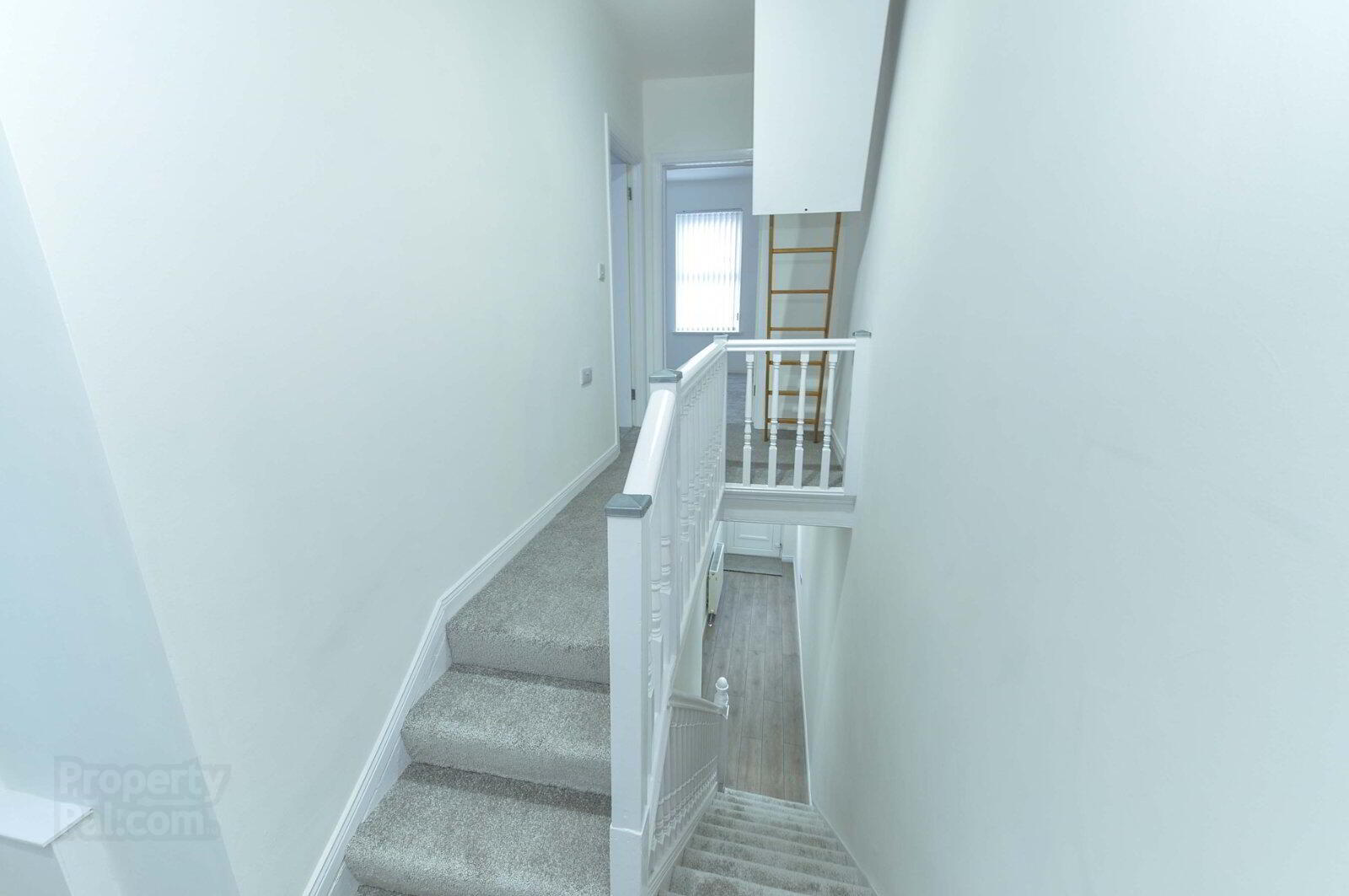 55 Sandown Road 9 of 16