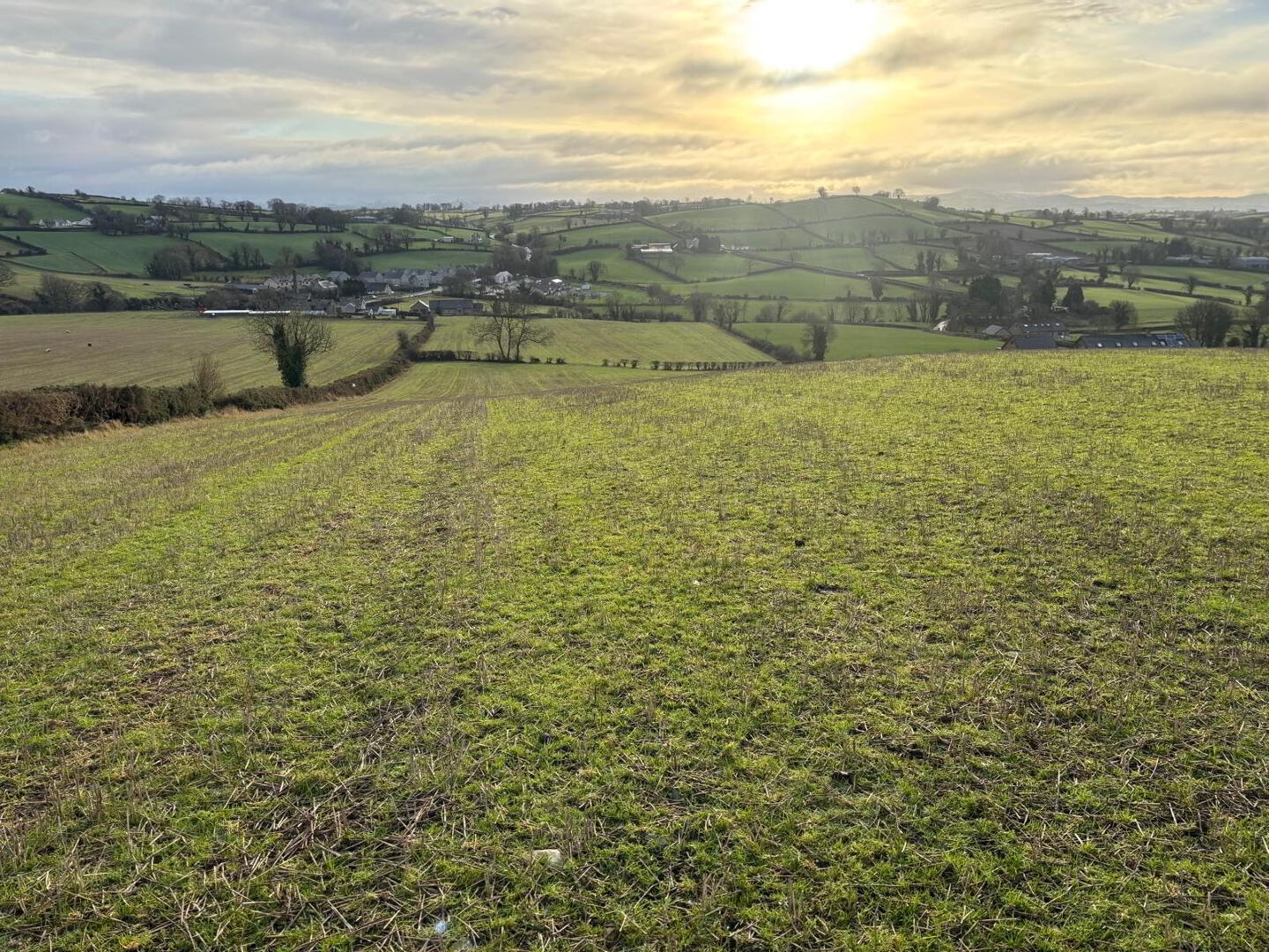 11.77 Acres Of Agricultural Ground, Ouley Road