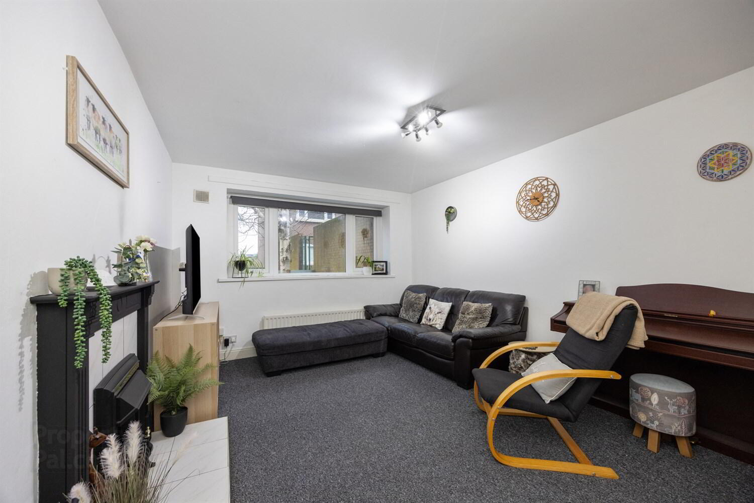 121 Annadale Flats 4 of 12