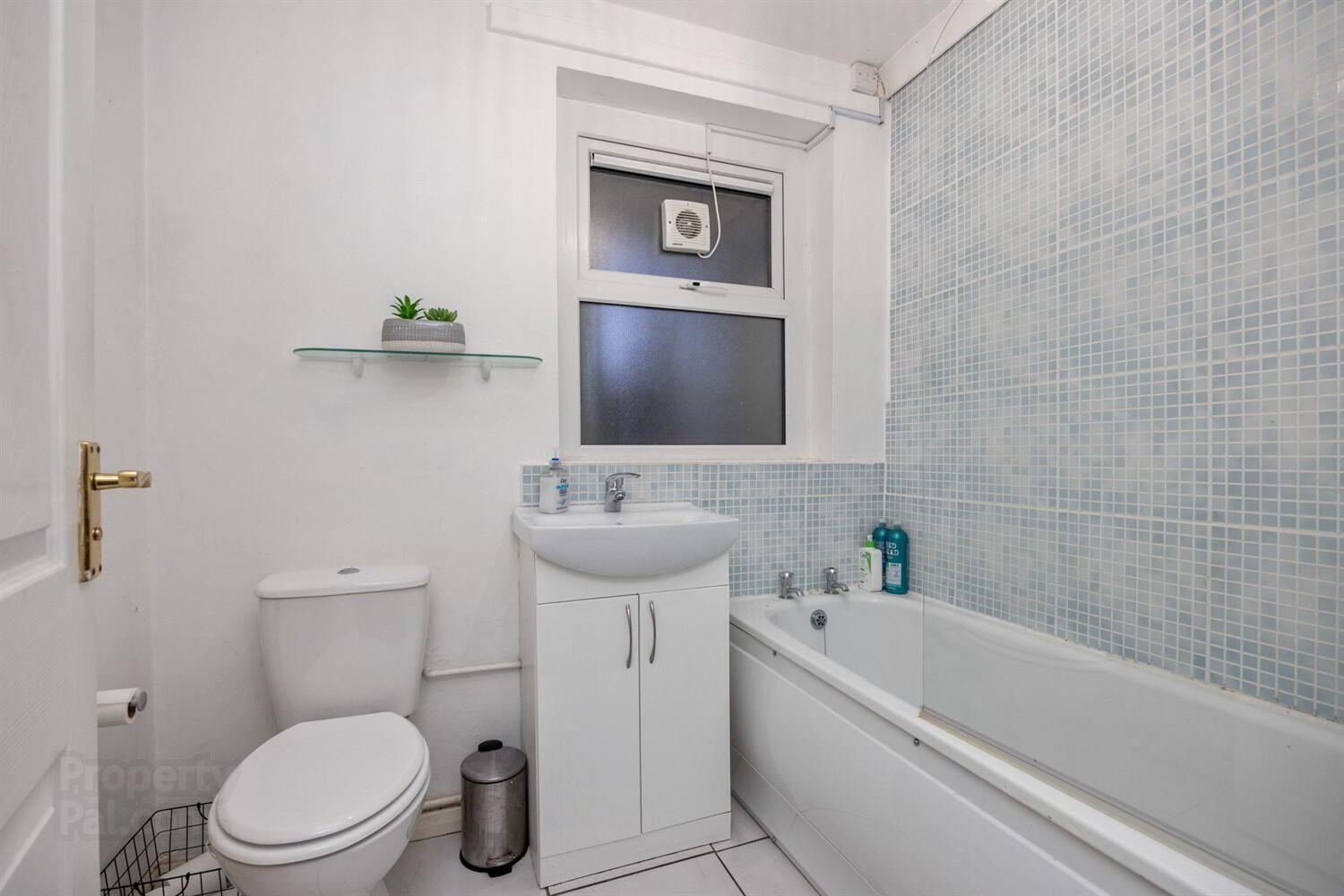 121 Annadale Flats 9 of 12