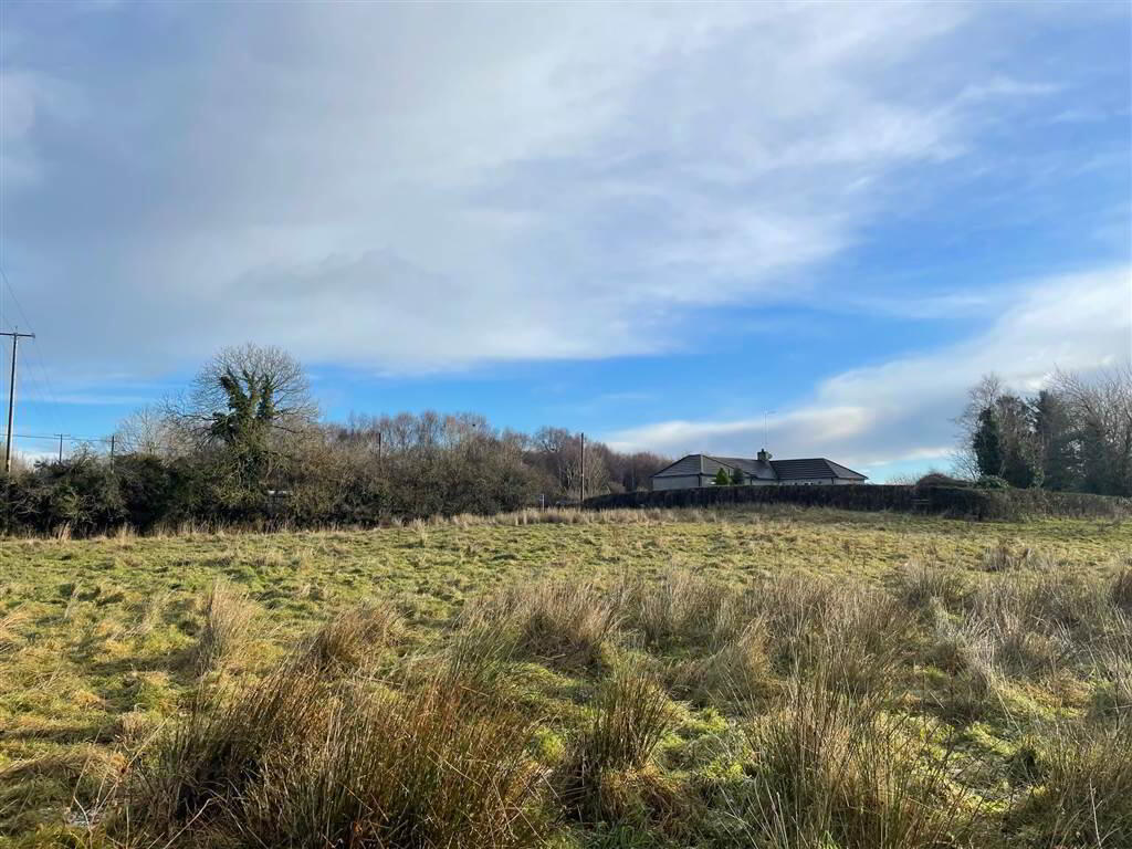 Land At, Downpatrick Road