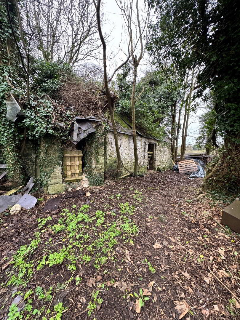 Derelict Cottage At Corcuillogue