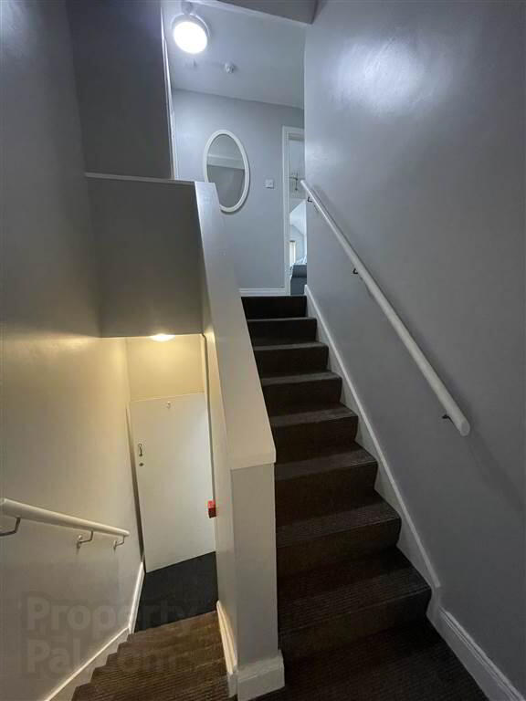 Apartment 3 64 Lisburn Road 17 of 17