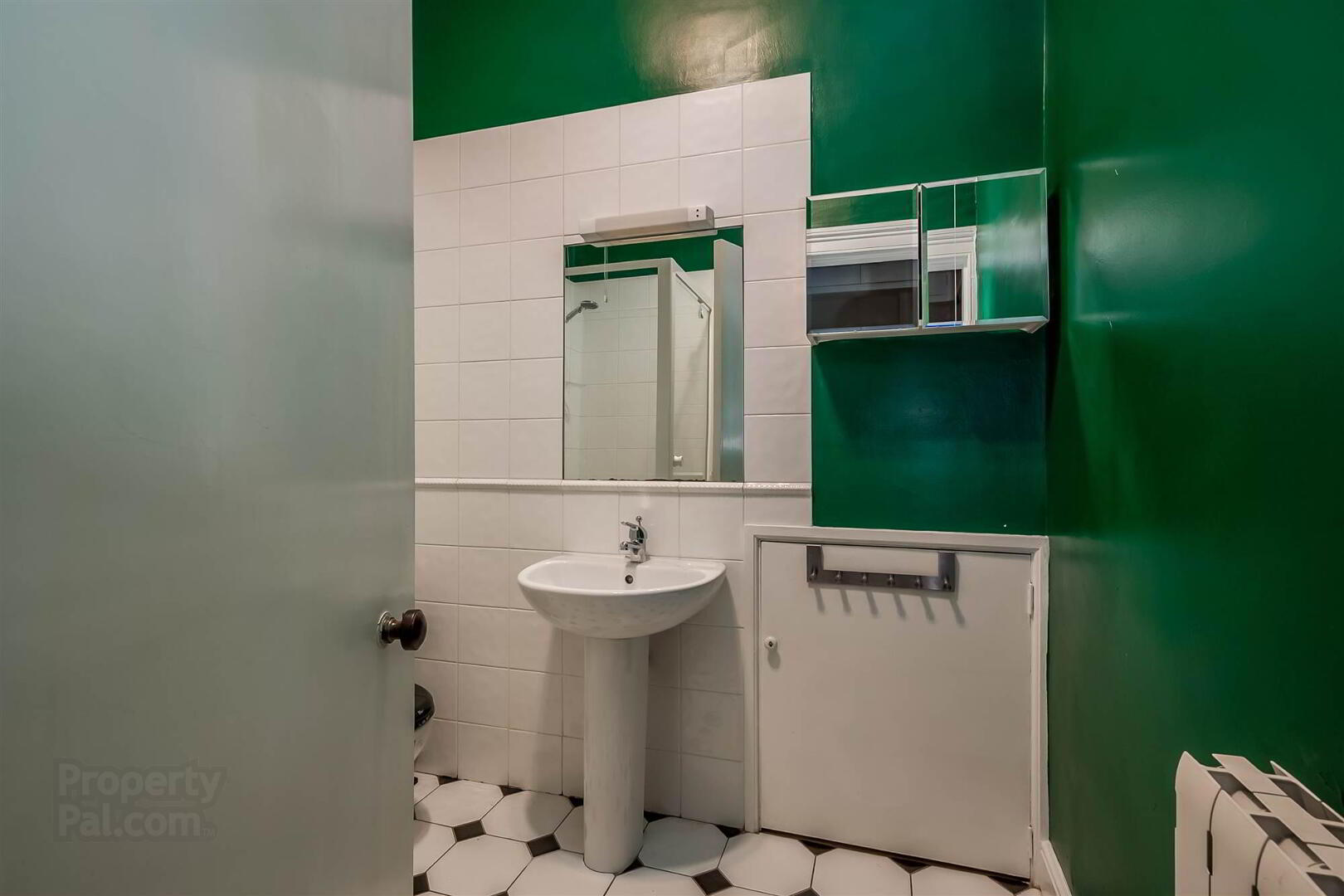 Flat 1 Lismachan House, 378 Belmont Road 19 of 24