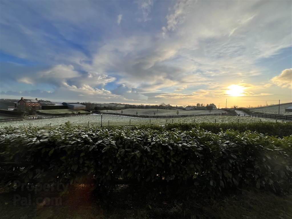 22b Lisbane Road 18 of 18