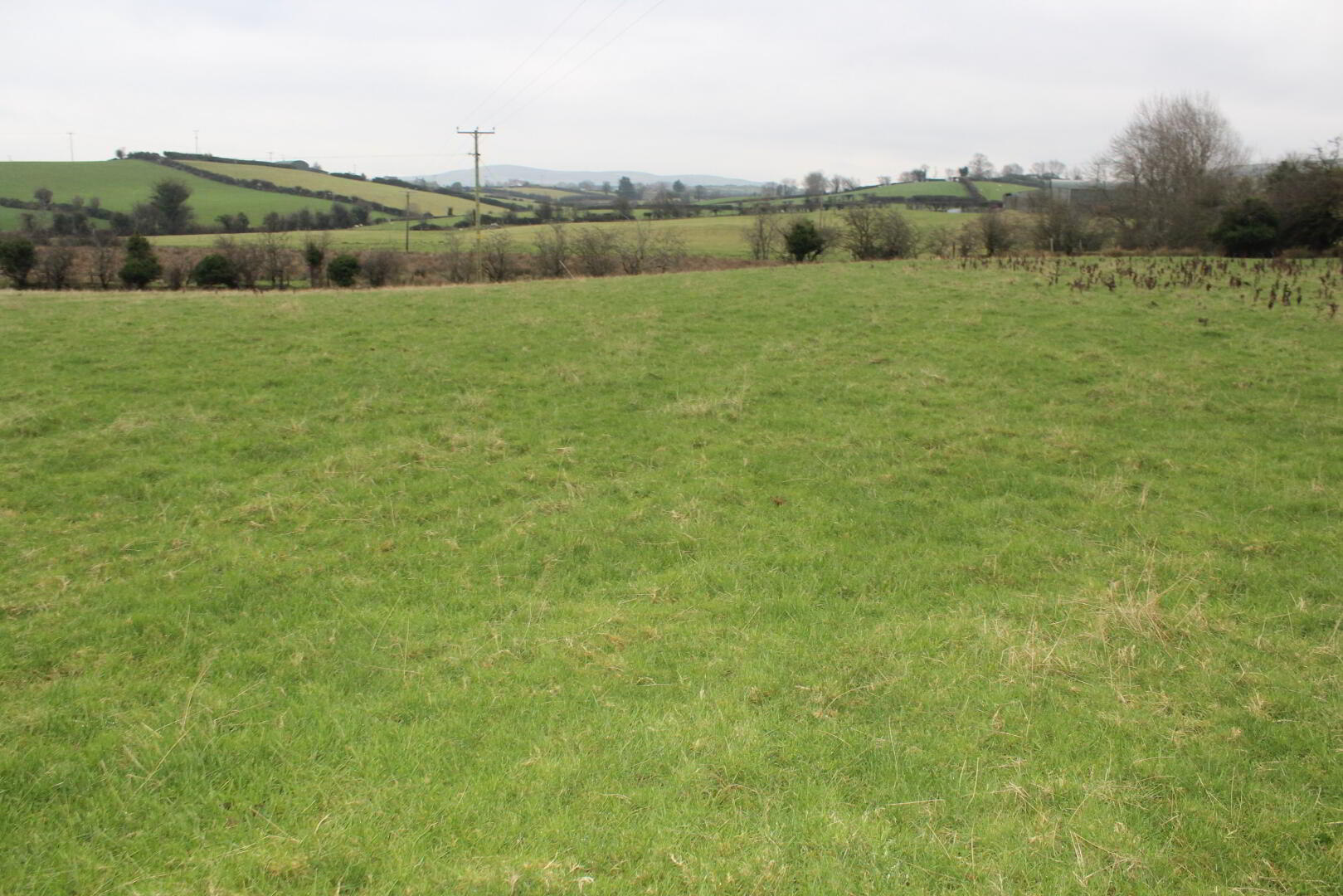 Agricultural Land, Kinghill Road