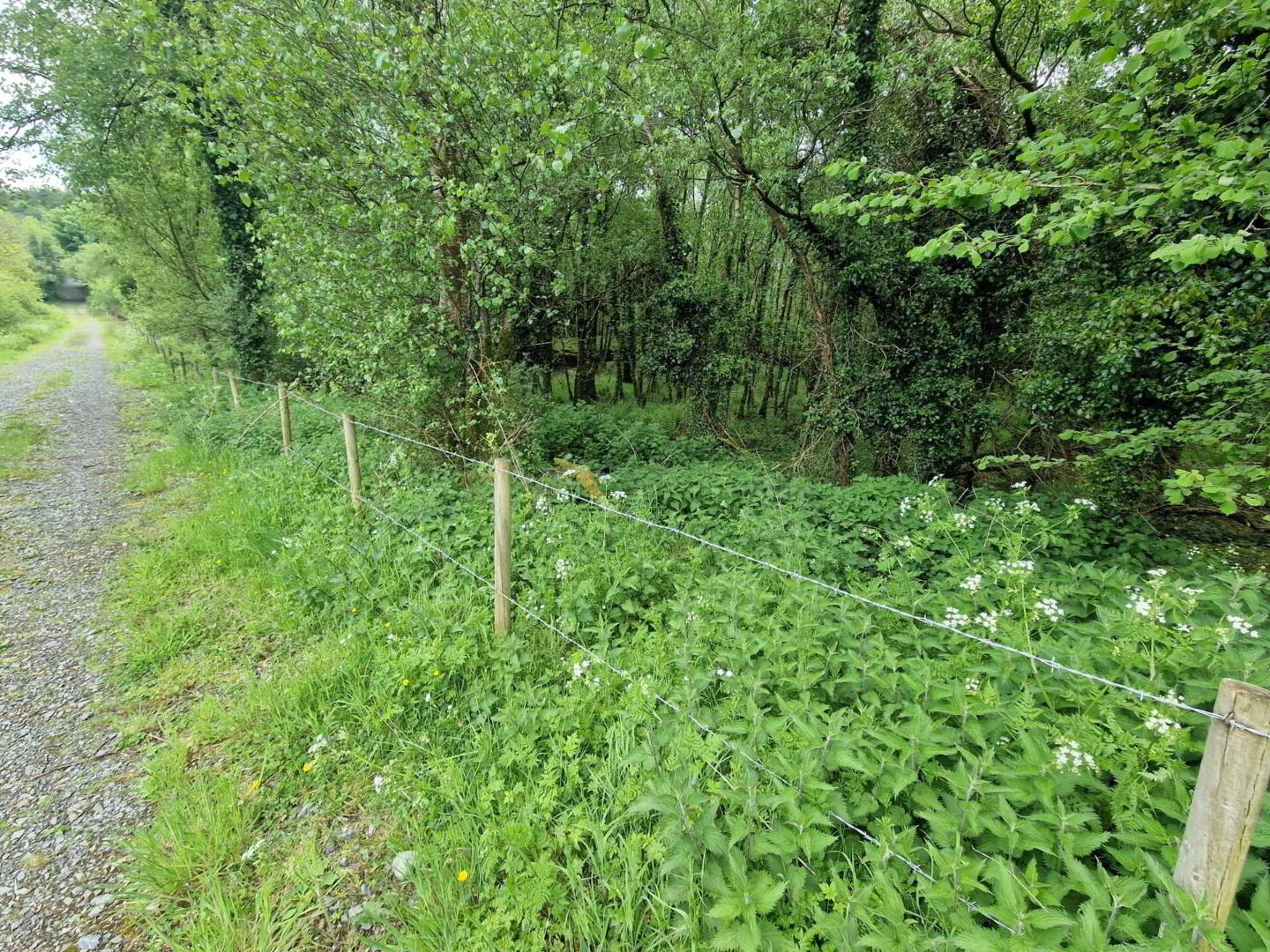 Building Site, With 7 Acres 29 of 37