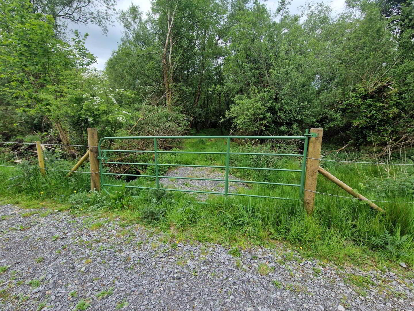 Building Site, With 7 Acres 23 of 37