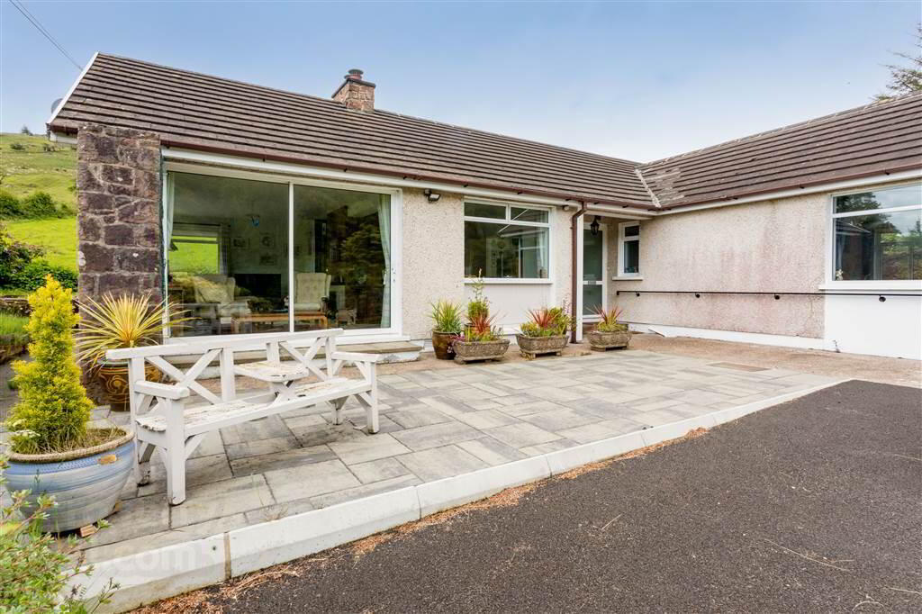 58 Clady Road 4 of 22