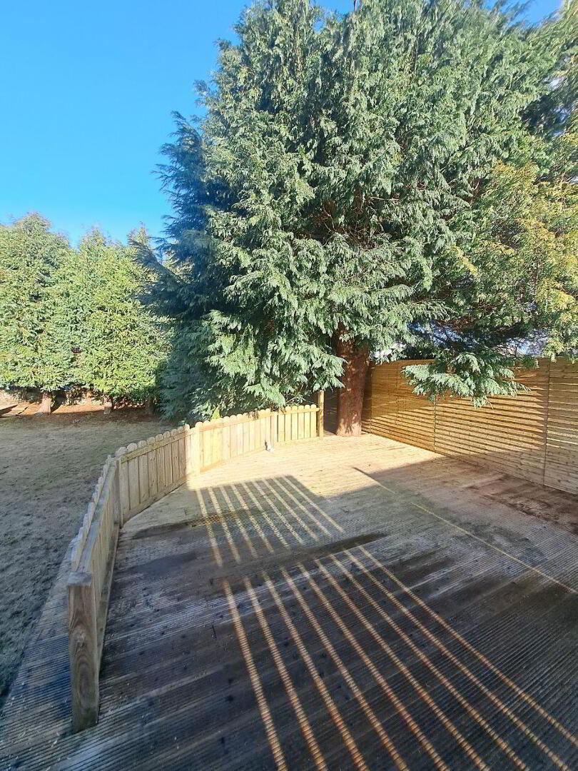 231 Ballymoney Road 19 of 25