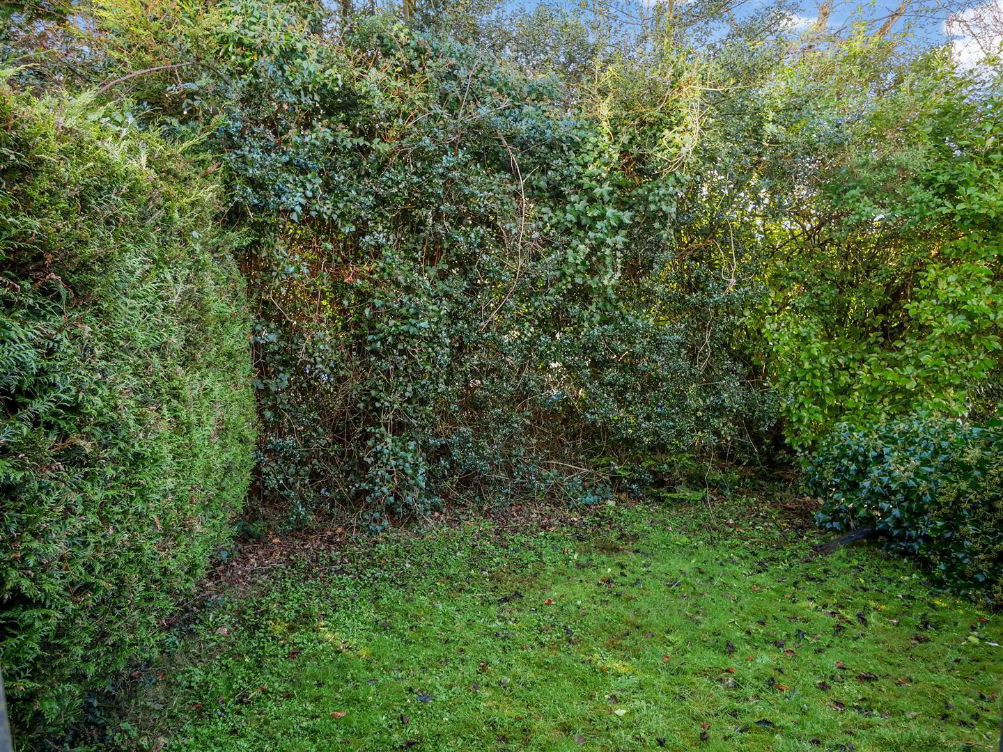 33 Mount Michael Park 12 of 12