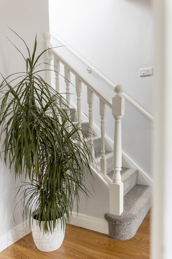 283 Ballymoney Road 5 of 43